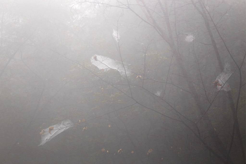 网呀网<strong></p>
<p>网币网</strong>，说不清的网