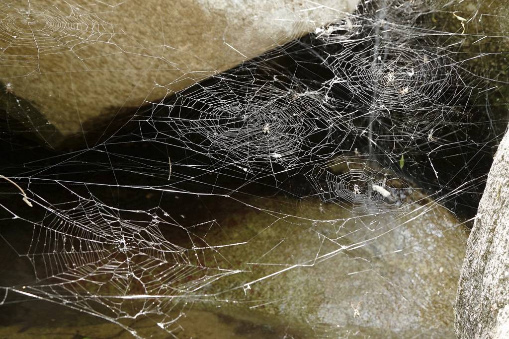 网呀网<strong></p>
<p>网币网</strong>，说不清的网