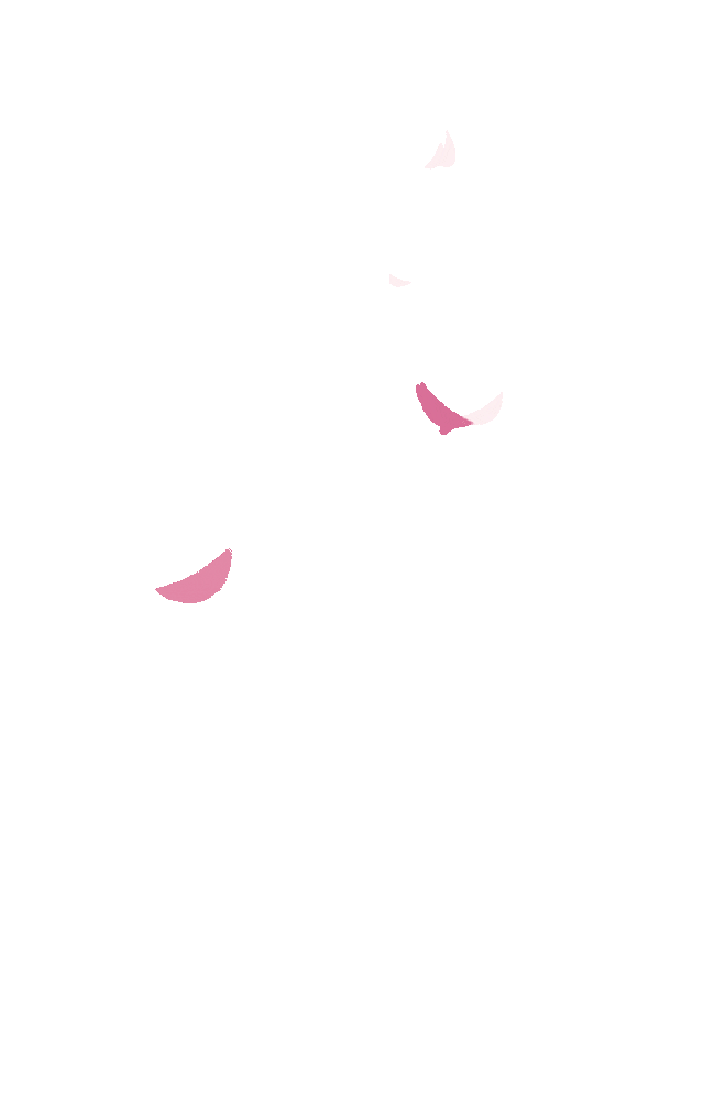 千禧同学<strong></p>
<p>千禧币</strong>，毕业快乐！
