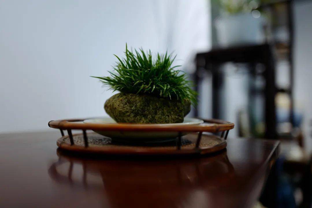 滋蒲日录·莳蒲闲话