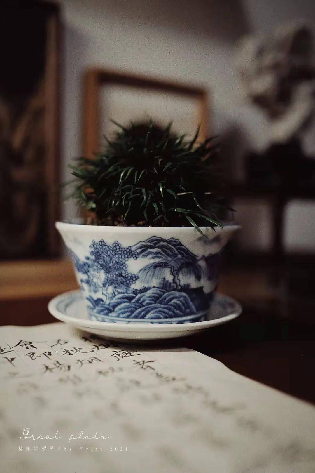 滋蒲日录·莳蒲闲话