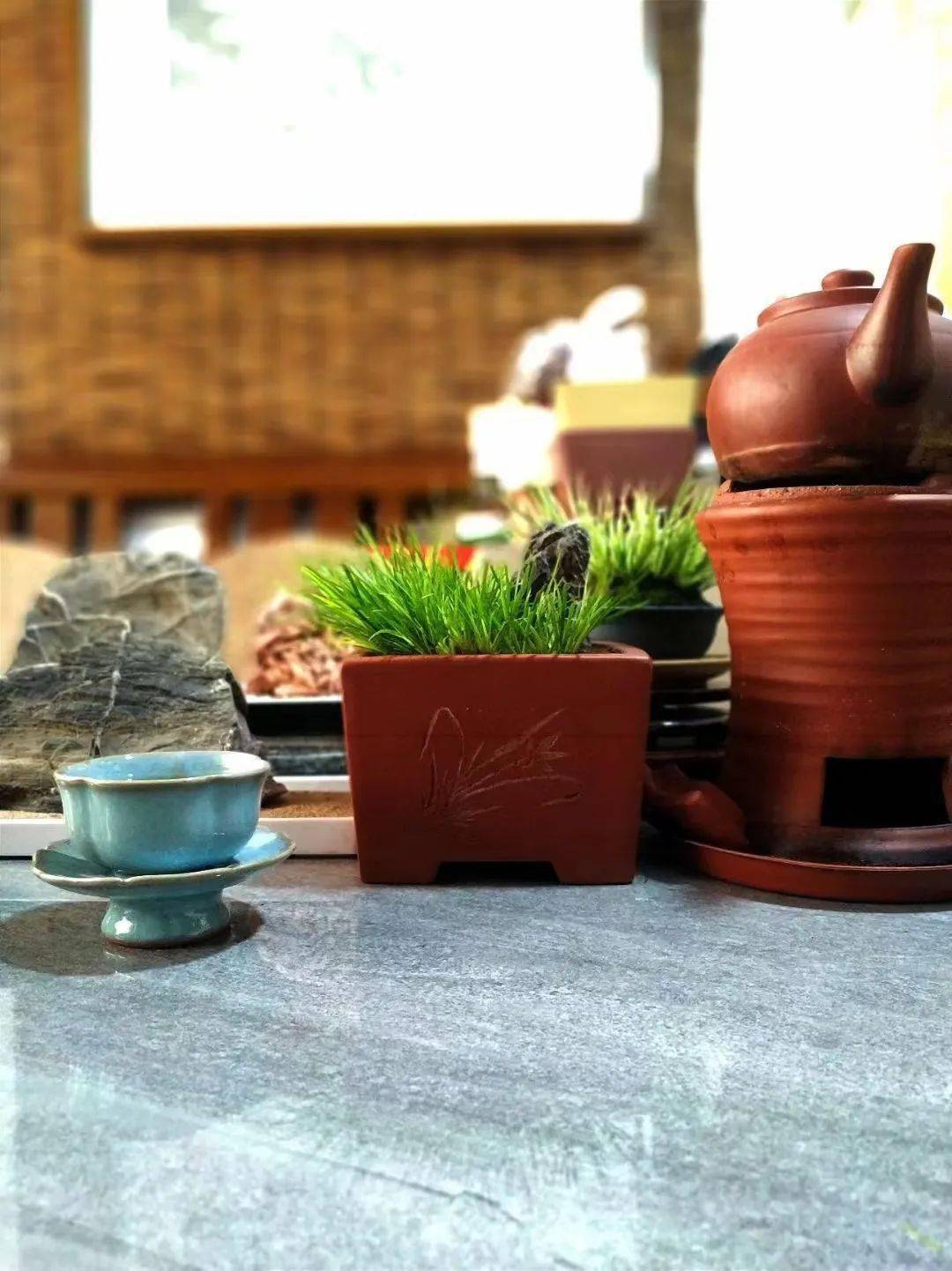 喝茶赏蒲
