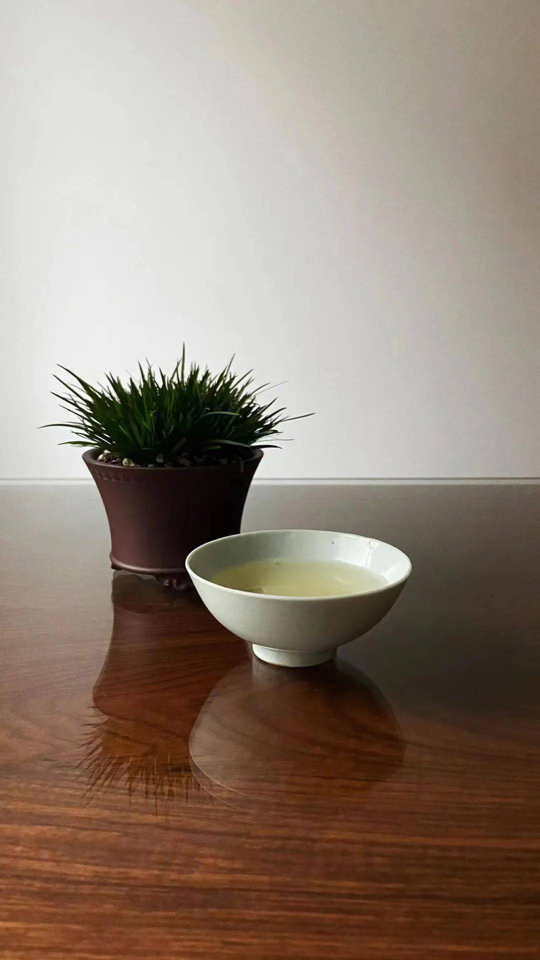 喝茶赏蒲