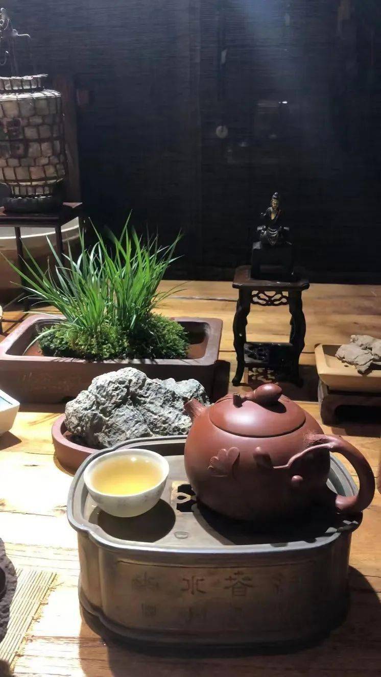 喝茶赏蒲