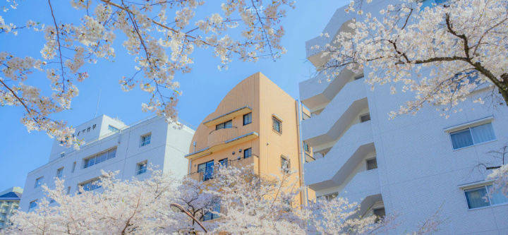 想去韩国留学<strong></p>
<p>好币我先知</strong>？这几点你要先知道