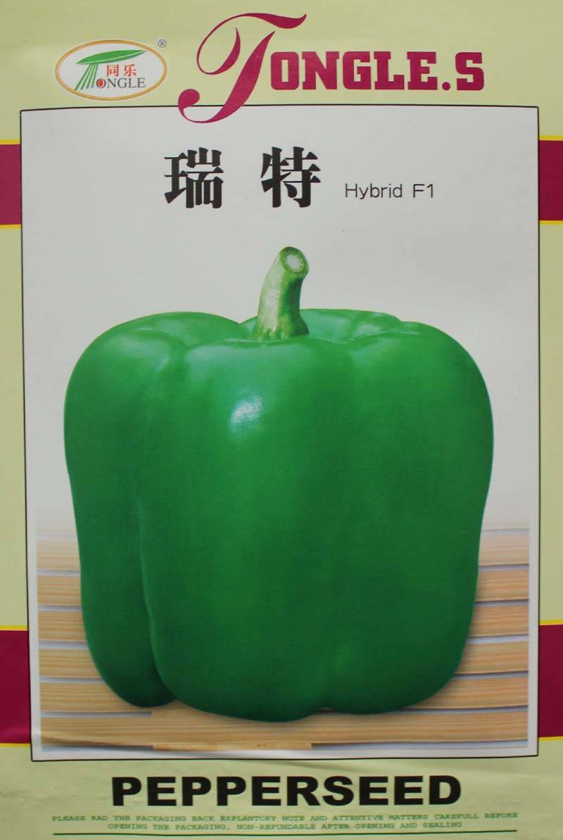 瑞特菜椒高产大果甜椒青椒辣椒种子