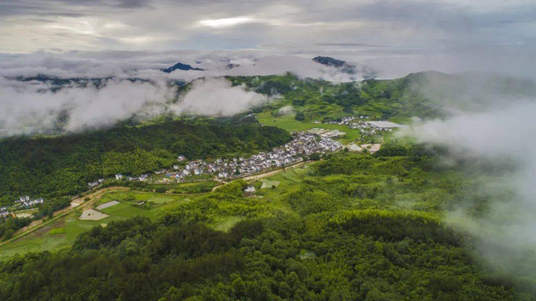 【“五微”行动】“长寿村”的新变化