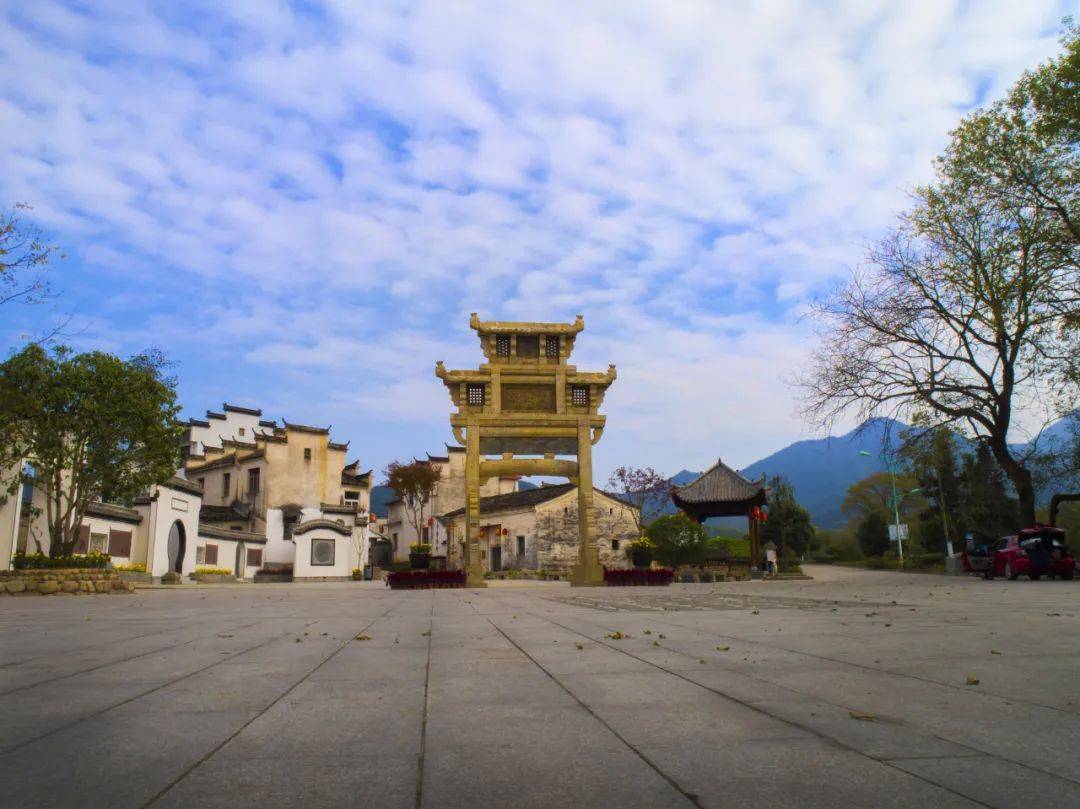 【“五微”行动】“长寿村”的新变化