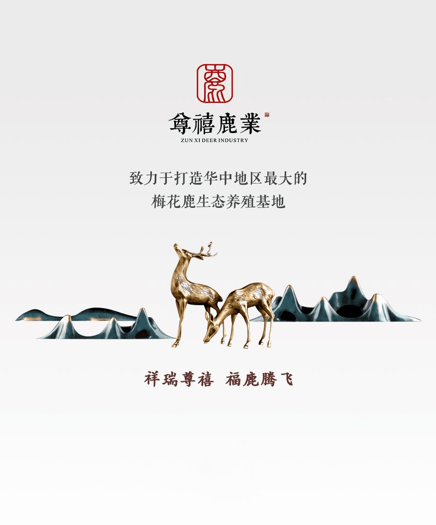 鹿种大揭秘<strong></p>
<p>鹿币</strong>，梅花鹿的这些亲戚你都认识吗？