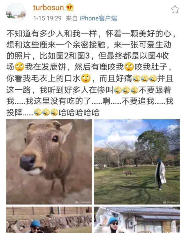 孙俪和鹿合照太俏皮<strong></p>
<p>鹿币</strong>，喂鹿吓到鹿饼都掉了，跟邓超的神仙爱情太甜