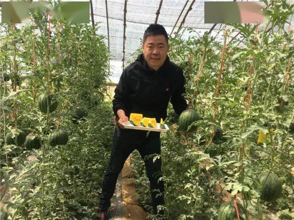 【济阳信息网】济阳区这个村：从贫困村变身“百万强村”