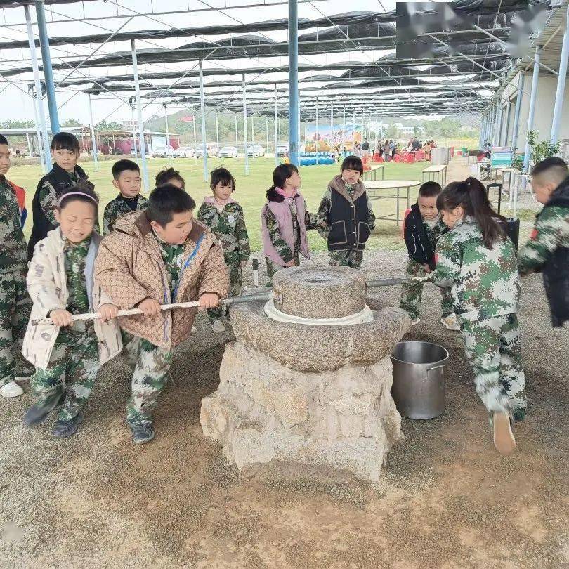八都署网村：畲族山寨迎来“凤凰涅槃”
