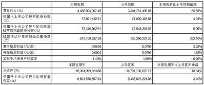 佛燃能源集团股份有限公司2023第一季度报告