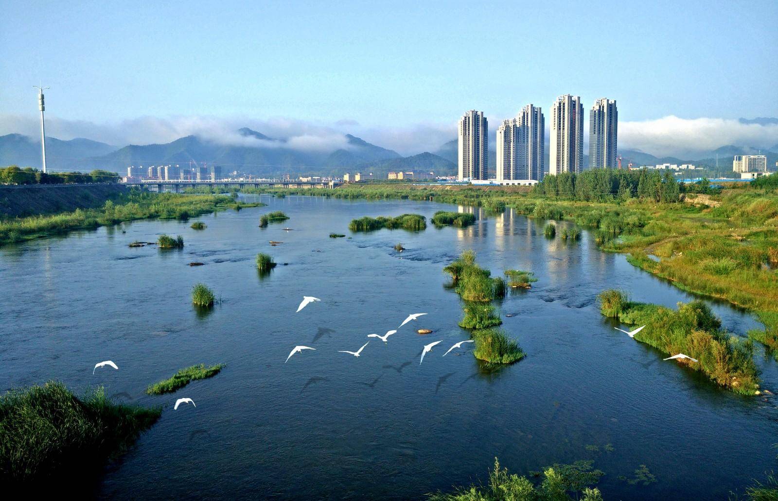西峡：绿色发展 富民强县
