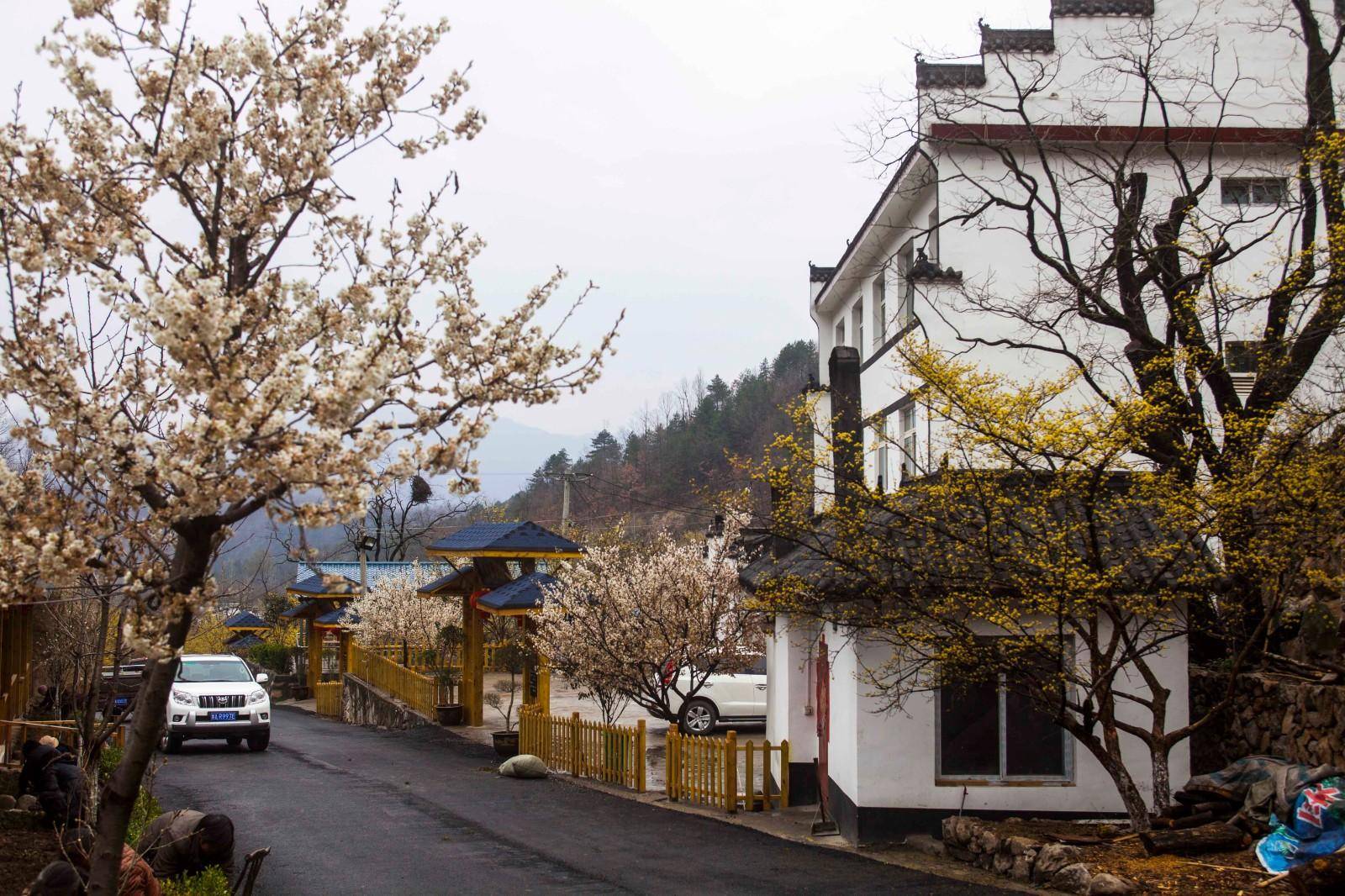 西峡：绿色发展 富民强县