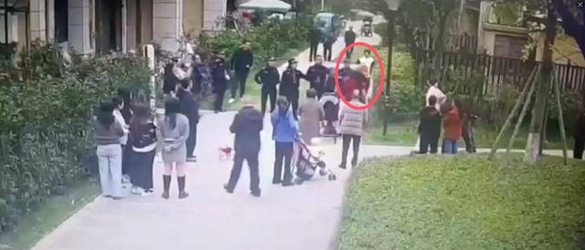 官方通报：执法人员张某（男<strong></p>
<p>理财经理面试</strong>，35岁）被停职
