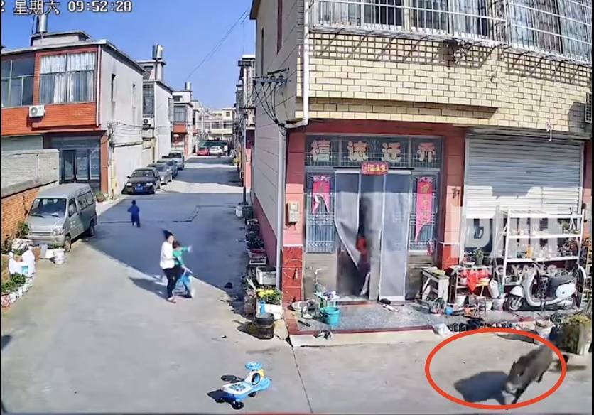 不是上海<strong></p>
<p>个人理财论文</strong>！不是上海！不是上海！最新：已被特警击毙