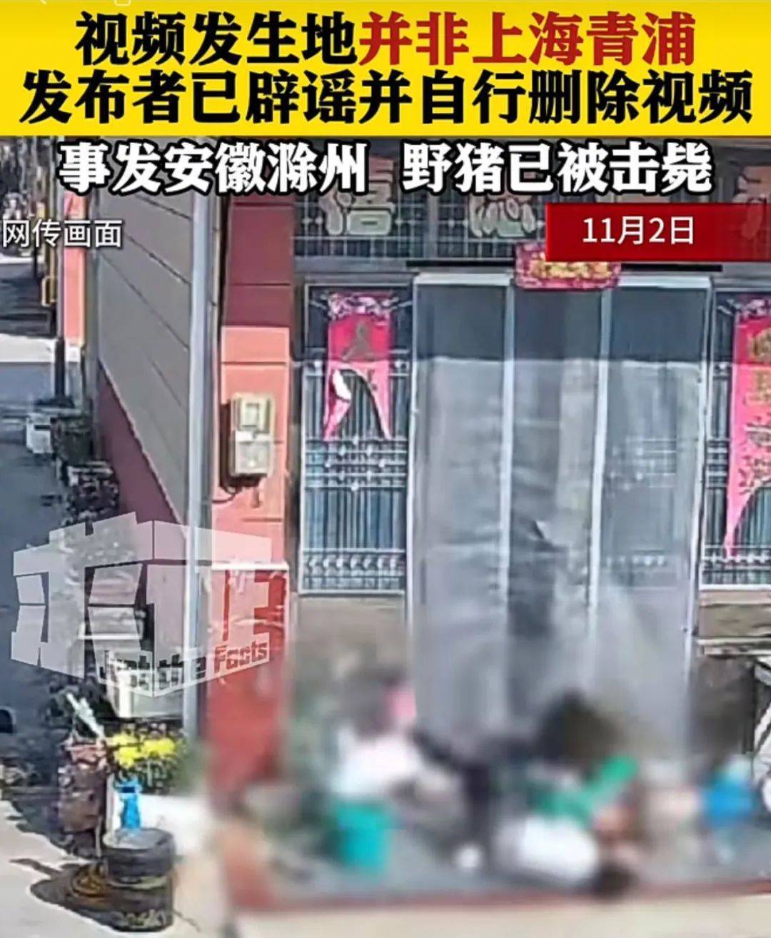 不是上海<strong></p>
<p>个人理财论文</strong>！不是上海！不是上海！最新：已被特警击毙