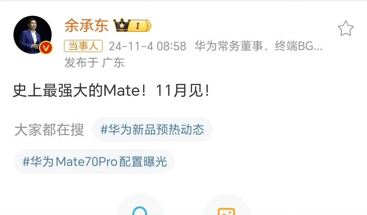 华为Mate 70官方图曝光？标注售价8599<strong></p>
<p>个人理财论文</strong>，网友：这价格有点假了