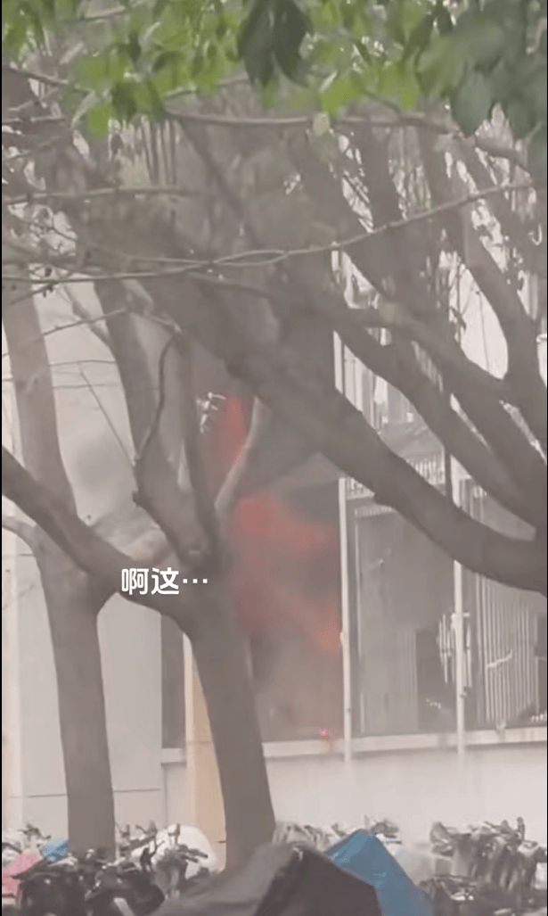 女生宿舍起火<strong></p>
<p>中年理财</strong>，楼栋闸机成撤离“拦路虎”，警务室：刷脸是为保障安全