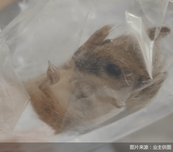老鼠乱窜、直饮水发黄<strong></p>
<p>中年理财</strong>，北京业主千万元买的和锦诚园居然是这样