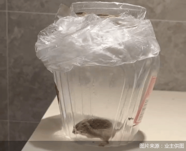 老鼠乱窜、直饮水发黄<strong></p>
<p>中年理财</strong>，北京业主千万元买的和锦诚园居然是这样