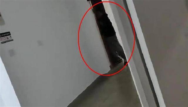 上海一高校男生晚上撞开女生寝室门<strong></p>
<p>平台理财哪个好</strong>，校方：醉酒后走错了