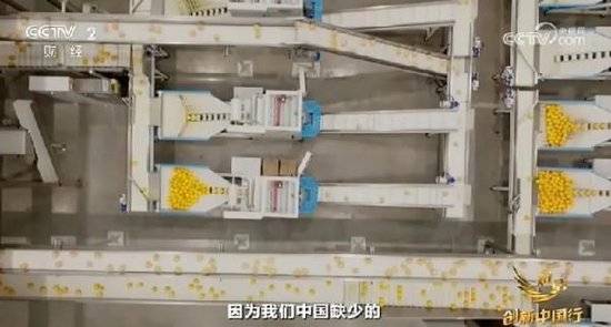 2024年末央视再度专访钟睒睒<strong></p>
<p>美元理财产品</strong>，背后有何深意？
