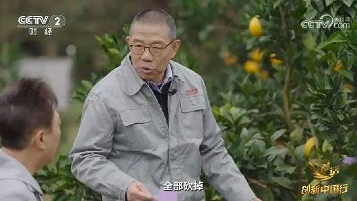 2024年末央视再度专访钟睒睒<strong></p>
<p>美元理财产品</strong>，背后有何深意？