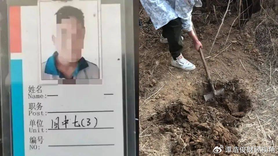 小恶魔被判无期<strong></p>
<p>投资理财哪个好</strong>，为何网友仍不满意？