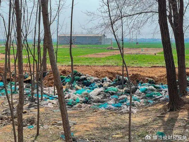 小恶魔被判无期<strong></p>
<p>投资理财哪个好</strong>，为何网友仍不满意？