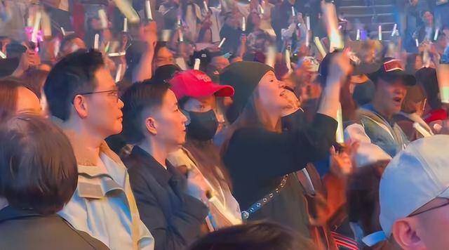 刘德华演唱会实录：表演滑跪失败<strong></p>
<p>小猪理财</strong>，甄子丹舒淇任达华台下蹦迪