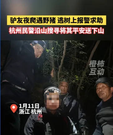 “我现在在树上<strong></p>
<p>pp理财</strong>，野猪在下面……”杭州一男子深夜报警！