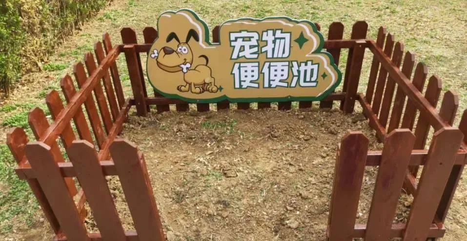 家门口成“狗公厕”<strong></p>
<p>掌悦理财</strong>，女子喷驱狗剂却被犬主告上法庭