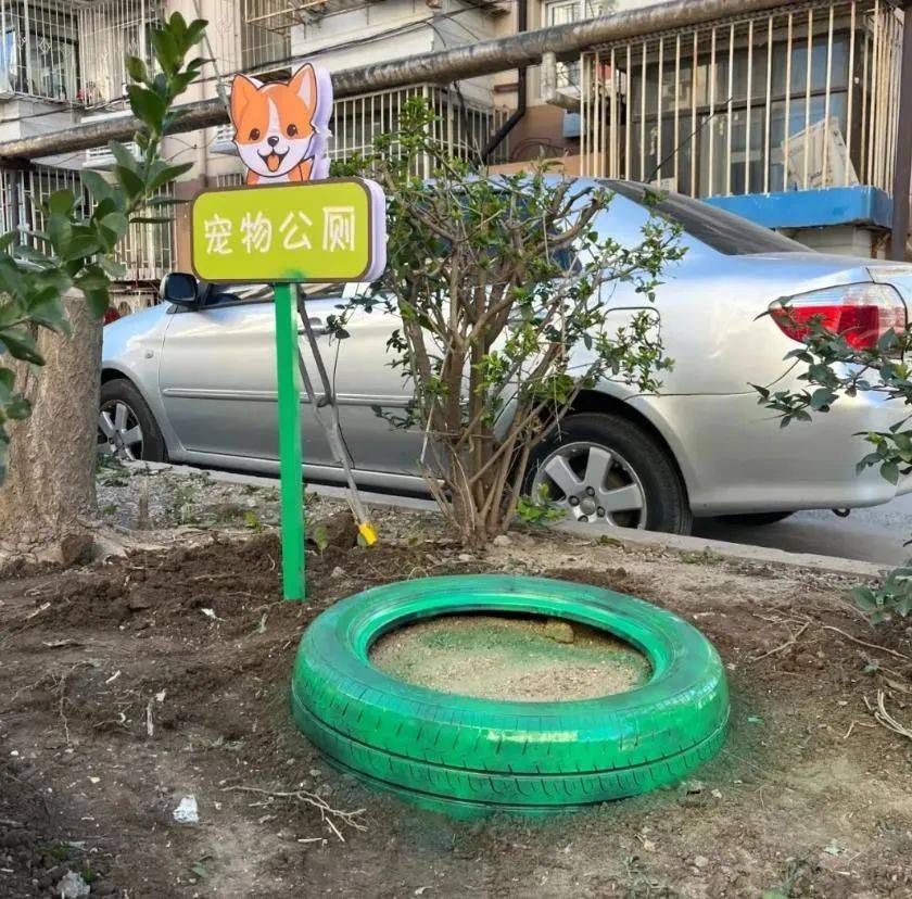 家门口成“狗公厕”<strong></p>
<p>掌悦理财</strong>，女子喷驱狗剂却被犬主告上法庭
