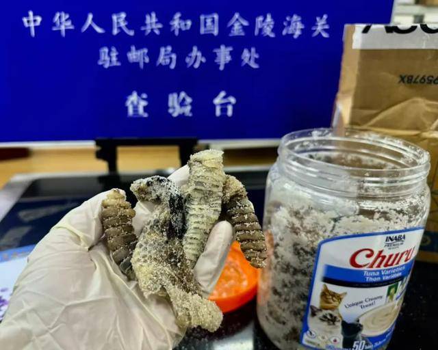 离谱！2.4斤生腌响尾蛇<strong></p>
<p>银行理财产品利率</strong>，被藏在零食罐里……