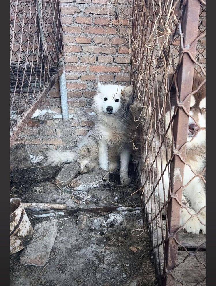 千万粉丝训犬师网红潘宏账号内容被一夜清空<strong></p>
<p>理财指南</strong>,园区所在地官方:正调查