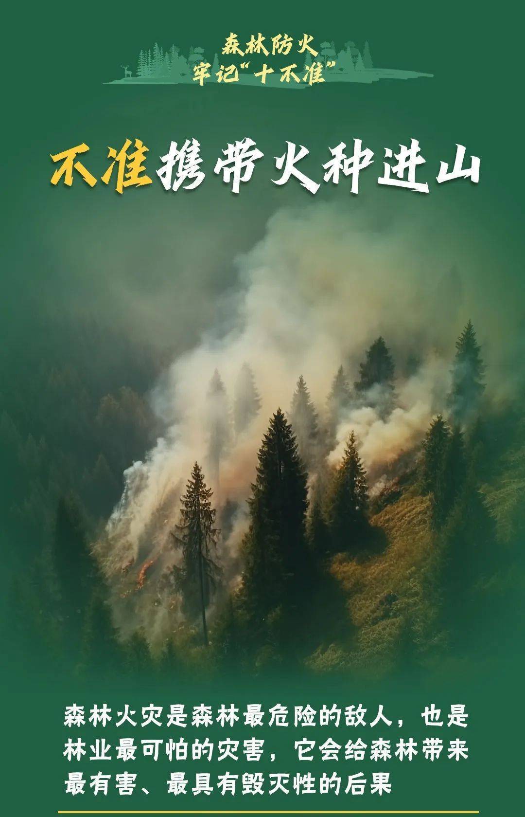 已致4名消防员遇难<strong></p>
<p>家庭理财方案</strong>！多地进入“灾难状态”