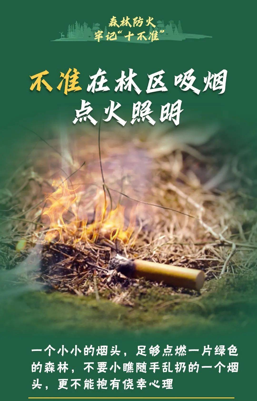 已致4名消防员遇难<strong></p>
<p>家庭理财方案</strong>！多地进入“灾难状态”