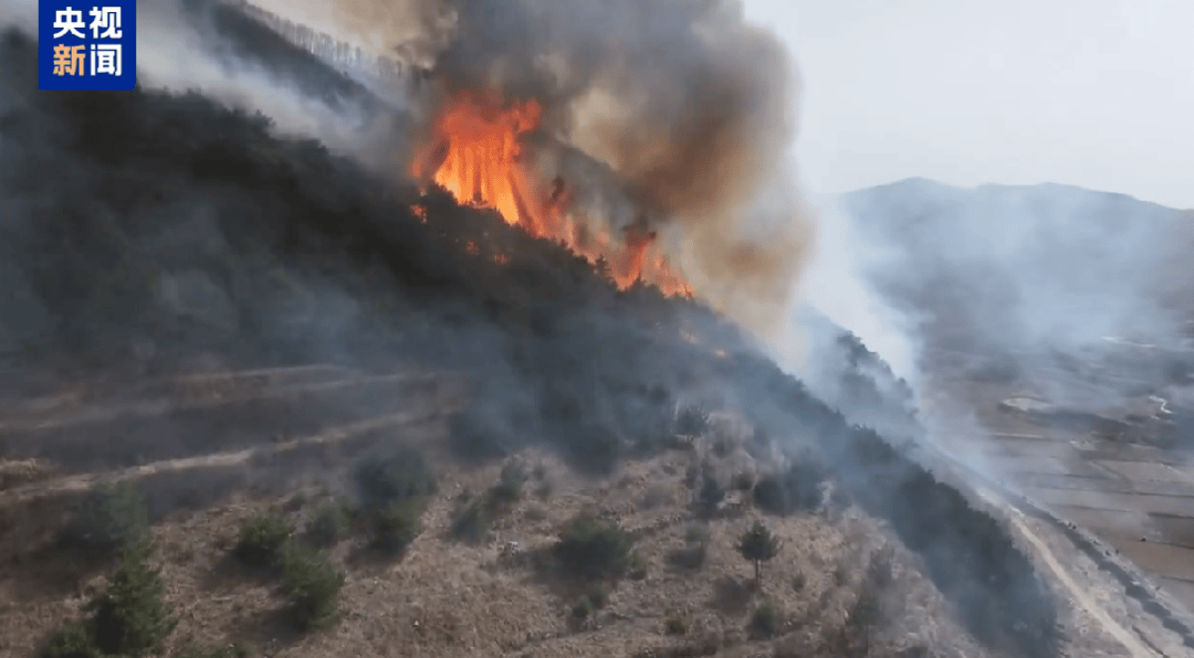 山西发生一起火情<strong></p>
<p>无风险理财</strong>！最新消息：纵火人员已被抓获