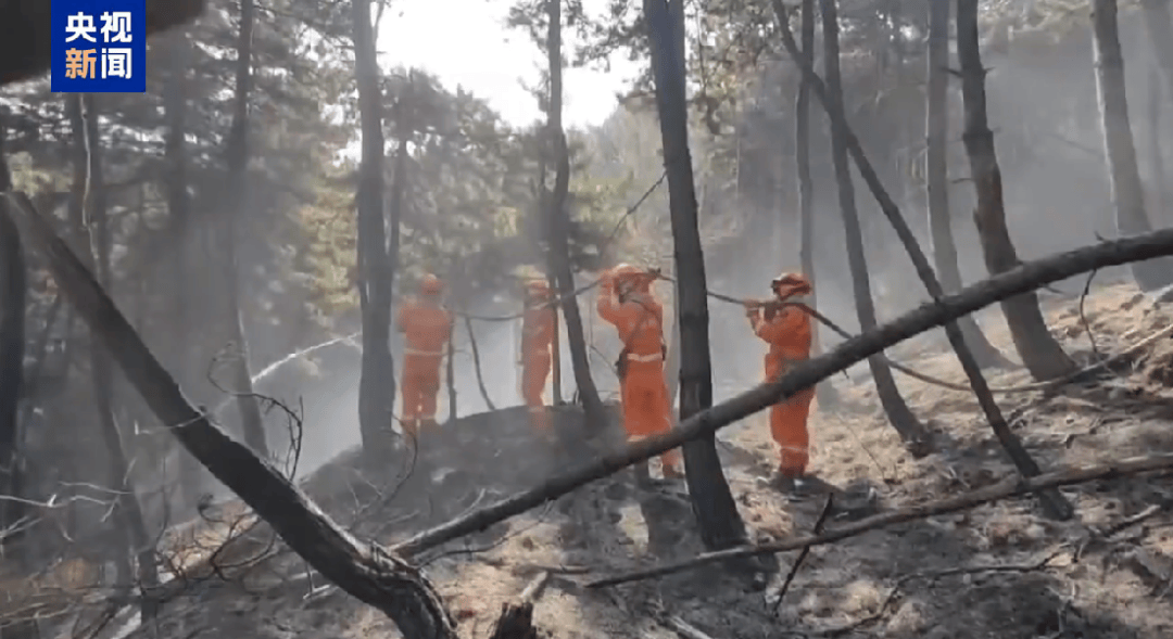 山西发生一起火情<strong></p>
<p>无风险理财</strong>！最新消息：纵火人员已被抓获