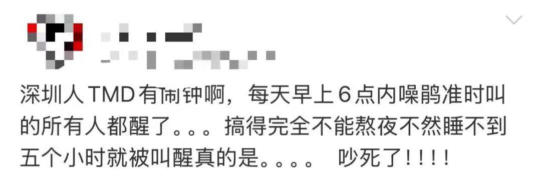 “周末想睡个懒觉都不行”<strong></p>
<p>金融理财培训</strong>，有多少深圳人被这种鸟吵到神经衰弱