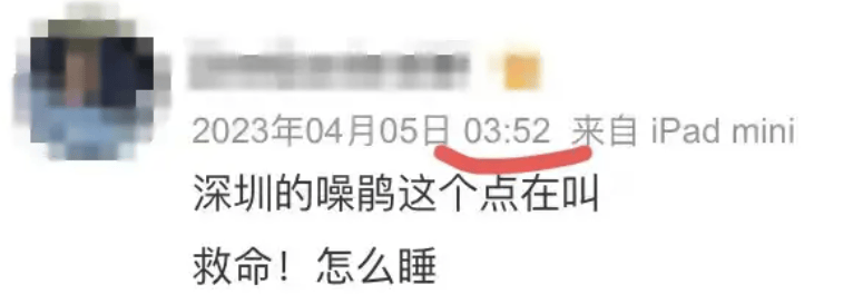 “周末想睡个懒觉都不行”<strong></p>
<p>金融理财培训</strong>，有多少深圳人被这种鸟吵到神经衰弱