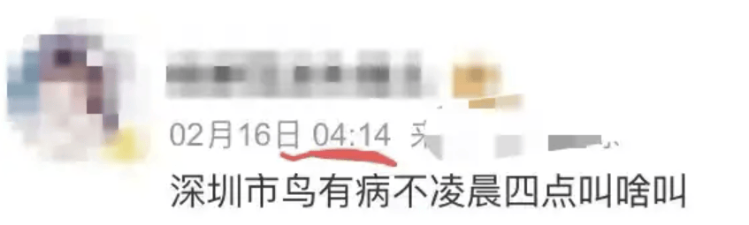 “周末想睡个懒觉都不行”<strong></p>
<p>金融理财培训</strong>，有多少深圳人被这种鸟吵到神经衰弱