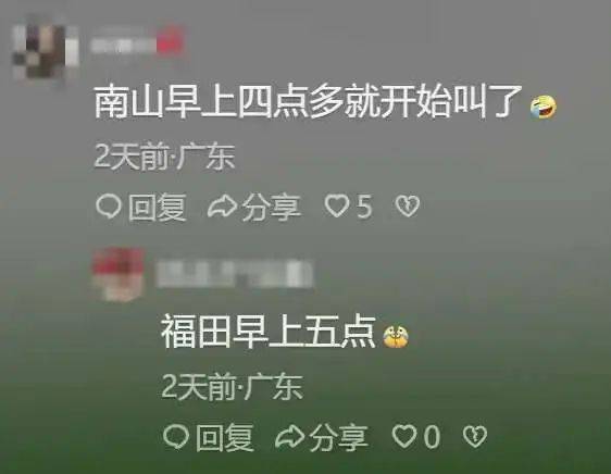 “周末想睡个懒觉都不行”<strong></p>
<p>金融理财培训</strong>，有多少深圳人被这种鸟吵到神经衰弱
