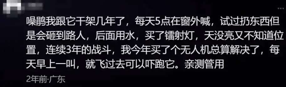 “周末想睡个懒觉都不行”<strong></p>
<p>金融理财培训</strong>，有多少深圳人被这种鸟吵到神经衰弱