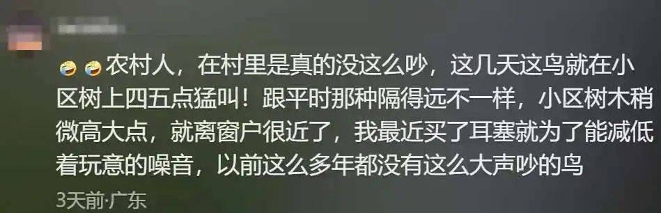 “周末想睡个懒觉都不行”<strong></p>
<p>金融理财培训</strong>，有多少深圳人被这种鸟吵到神经衰弱