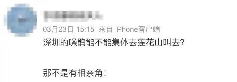 “周末想睡个懒觉都不行”<strong></p>
<p>金融理财培训</strong>，有多少深圳人被这种鸟吵到神经衰弱