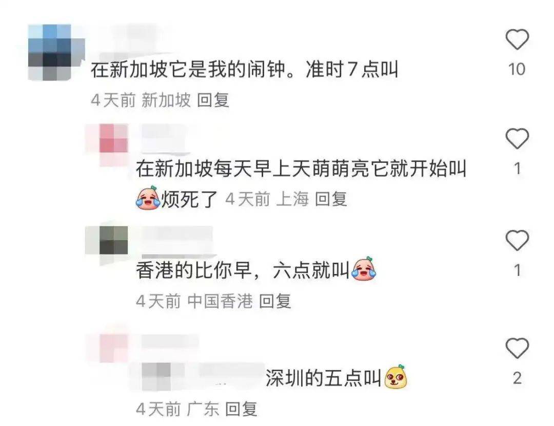 “周末想睡个懒觉都不行”<strong></p>
<p>金融理财培训</strong>，有多少深圳人被这种鸟吵到神经衰弱