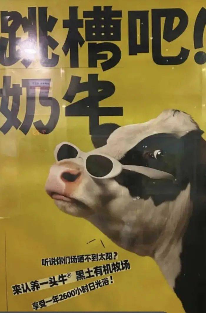 认养一头牛广告被质疑讽刺打工人<strong></p>
<p>mfc理财</strong>，公司回应：致敬BOSS直聘